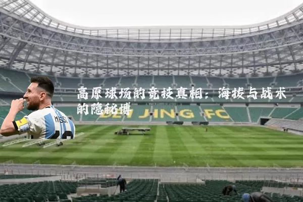 高原球场的竞技真相：海拔与战术的隐秘博弈